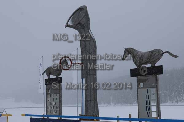 IMG 1322 prot